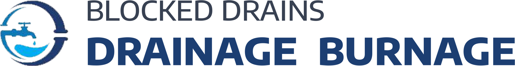 website logo